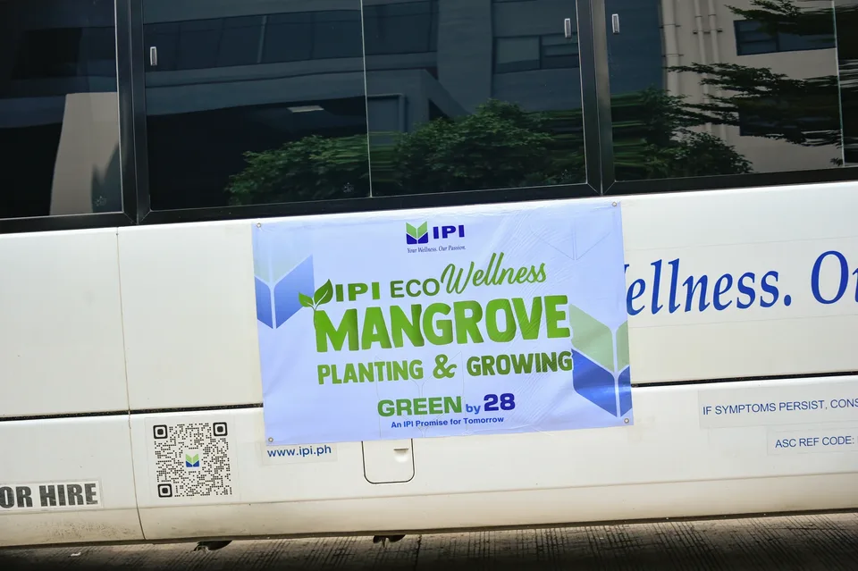 IPI employees planting mangrove propagules by hand across a tidal flat during the company’s EcoWellness mangrove planting day