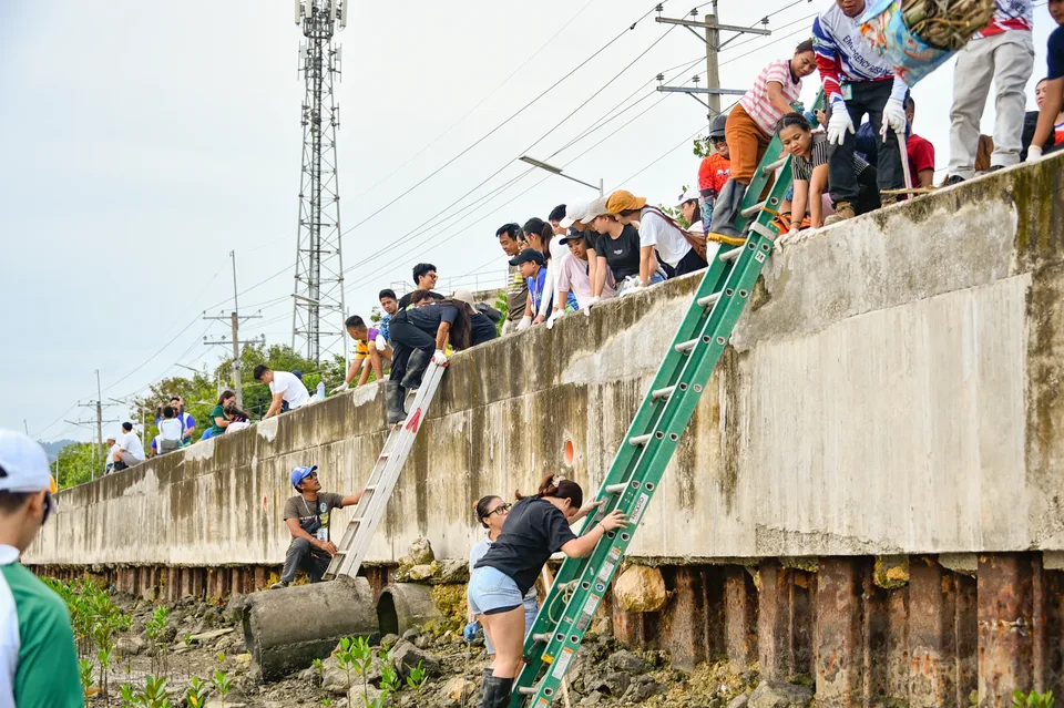 IPI employees planting mangrove propagules by hand across a tidal flat during the company’s EcoWellness mangrove planting day