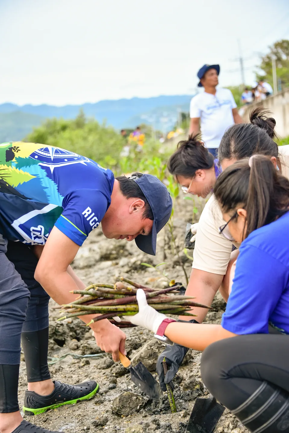 IPI employees planting mangrove propagules by hand across a tidal flat during the company’s EcoWellness mangrove planting day