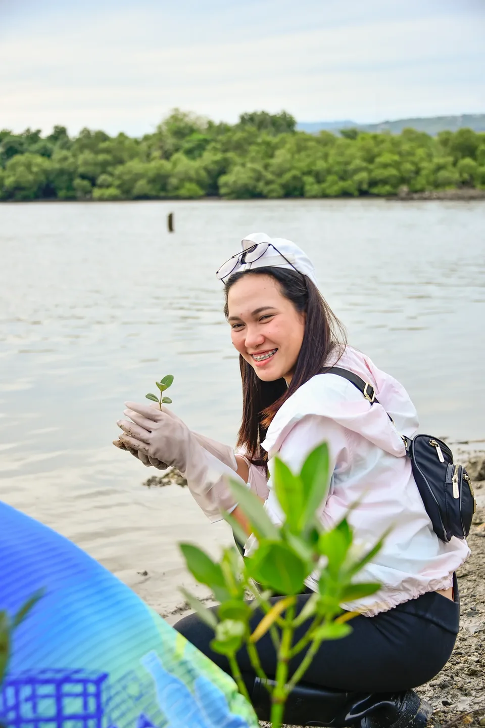 IPI employees planting mangrove propagules by hand across a tidal flat during the company’s EcoWellness mangrove planting day