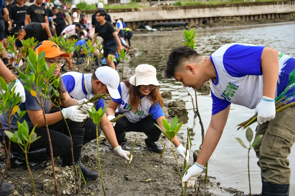 IPI employees planting mangrove propagules by hand across a tidal flat during the company’s EcoWellness mangrove planting day