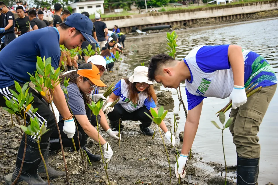 IPI employees planting mangrove propagules by hand across a tidal flat during the company’s EcoWellness mangrove planting day