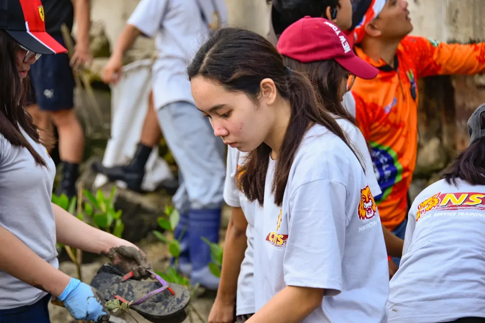 IPI employees planting mangrove propagules by hand across a tidal flat during the company’s EcoWellness mangrove planting day