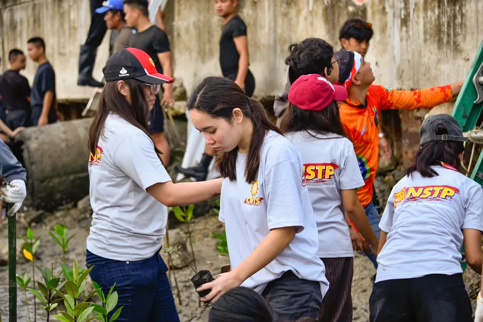 IPI employees planting mangrove propagules by hand across a tidal flat during the company’s EcoWellness mangrove planting day