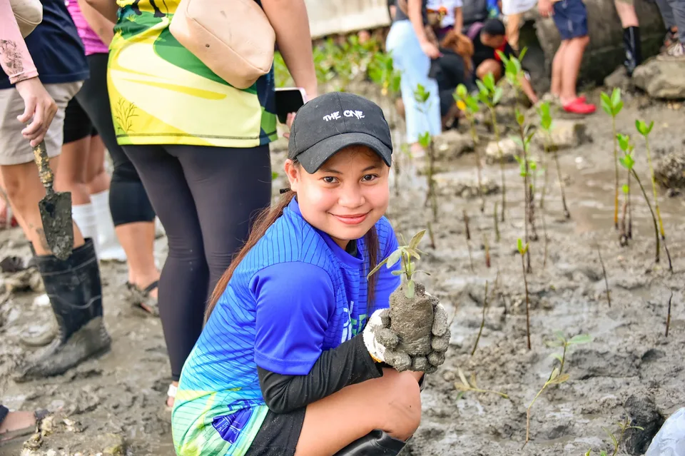 IPI employees planting mangrove propagules by hand across a tidal flat during the company’s EcoWellness mangrove planting day
